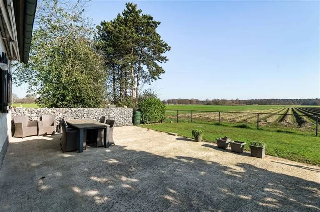 garden