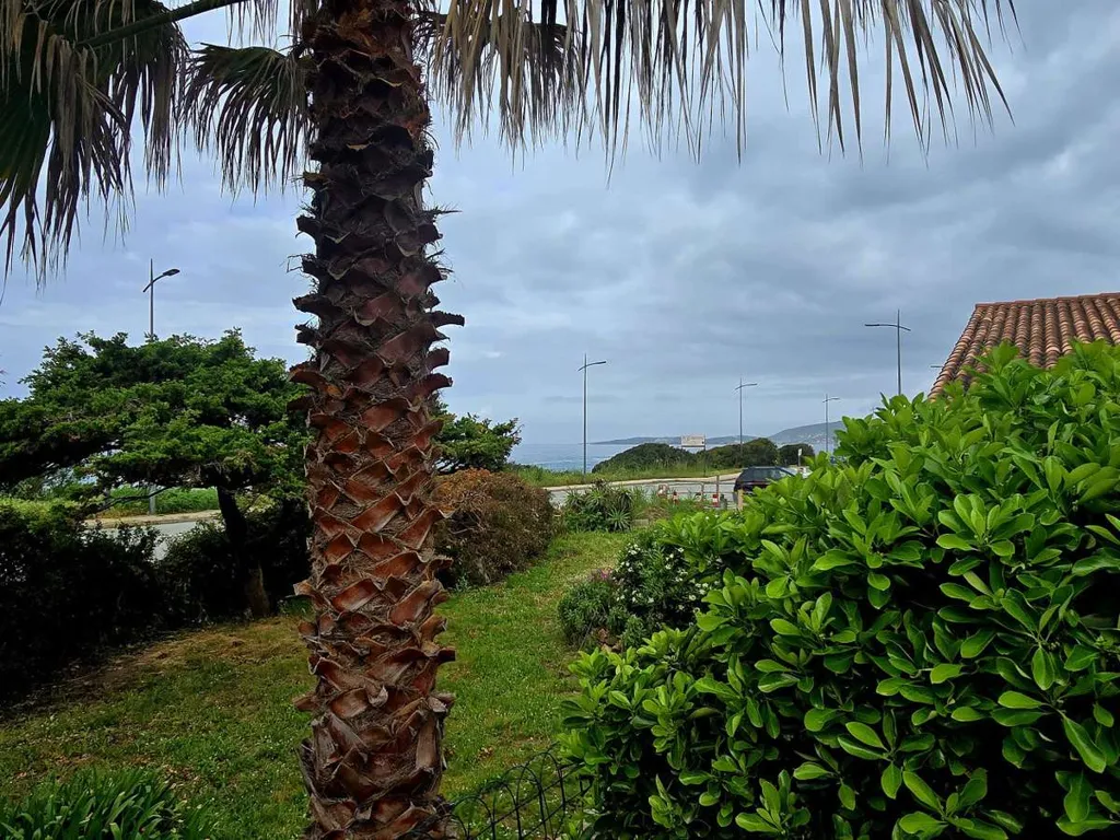 Villa Flat with Garden, 30m from Beach, Abbartello