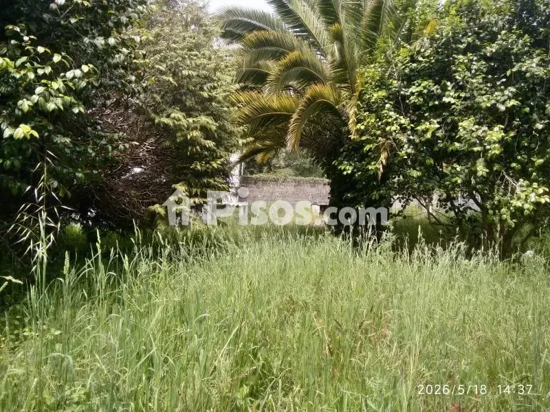 Jardín - Casa rural con jardín en Cedeira, A Coruña