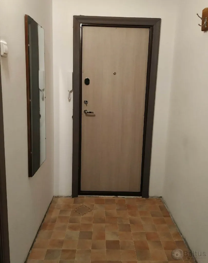Hallway - One-Bedroom Flat with Glazed Balcony in Klaipėda