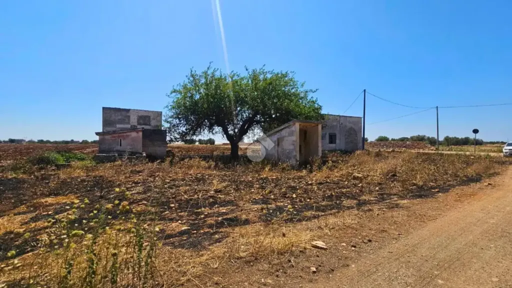 Jardin - Rustic Property with Olive Trees in Nardò
