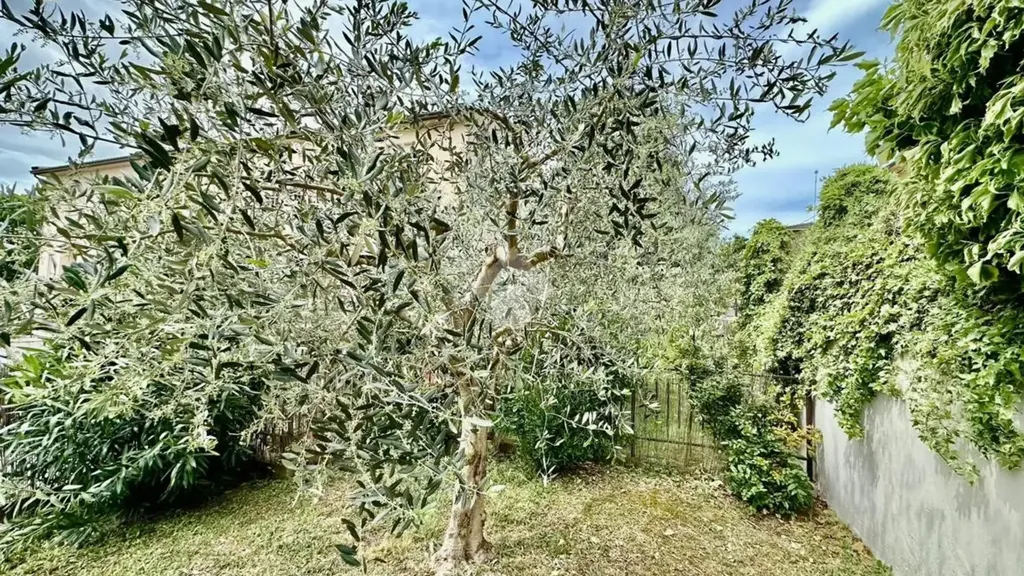 Jardin - Terraced Villa with Garden in Castel Ritaldi