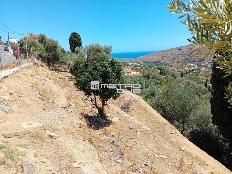 Giardino - Buildable Plot with Open Views in Andros