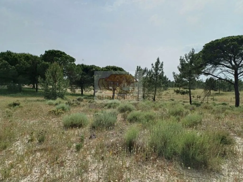 Aed - Luxury House with Alentejo Design in Grândola