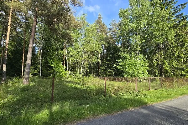 Aed - Country Plot with Forest Access in Koppelmaa