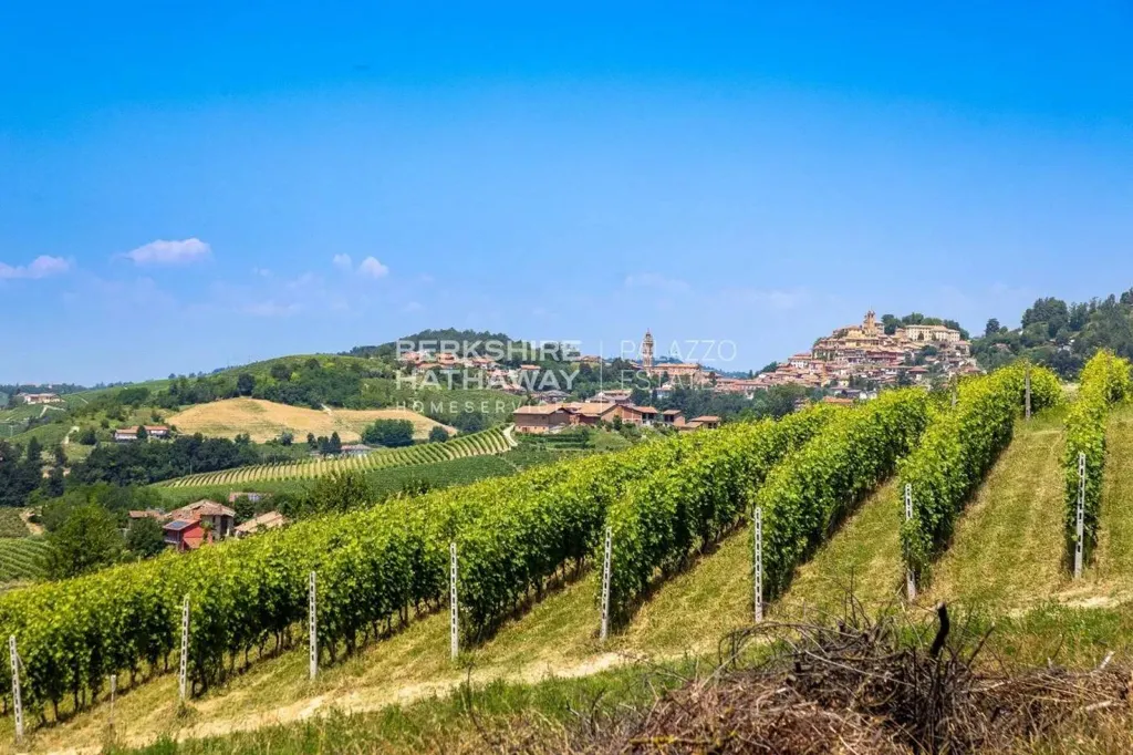 Casale with Pool in Monforte d'Alba