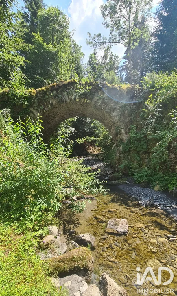 Garden - Restored Mill with Ski Access in Sallanches