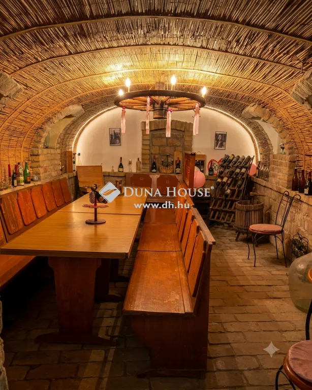 Toad - Mixed-Use Property with Garden in Baja