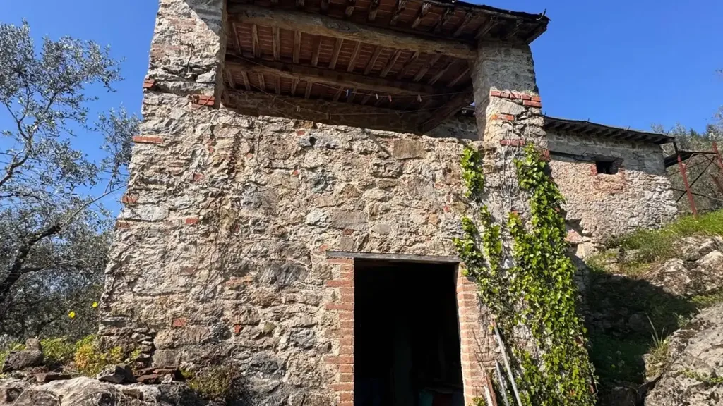 Extérieur - Rustic Property with Olive Grove in Lucca