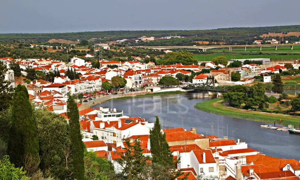 Luxury Flat with Pool in Alcácer do Sal