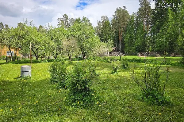 Garden - Cottage with Forest in Valgemetsa, Põlva