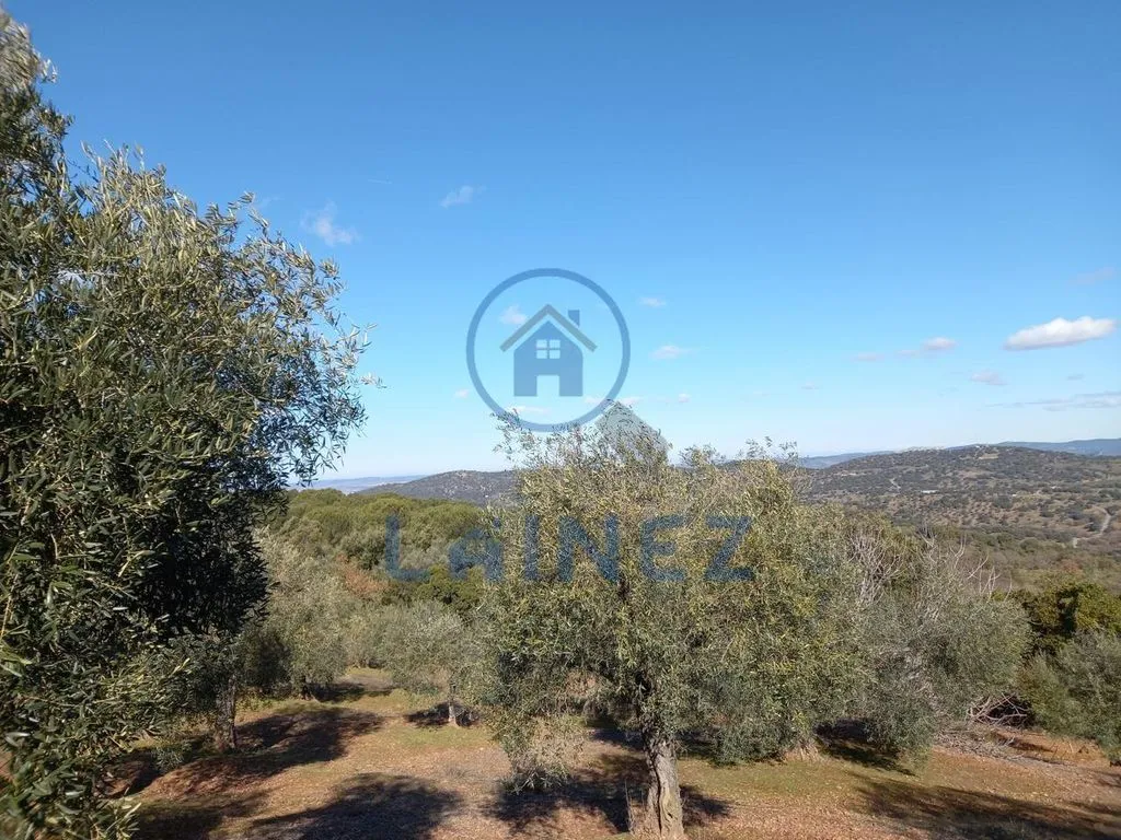 Jardin - Country House with Mountain Views in Villanueva del Rey