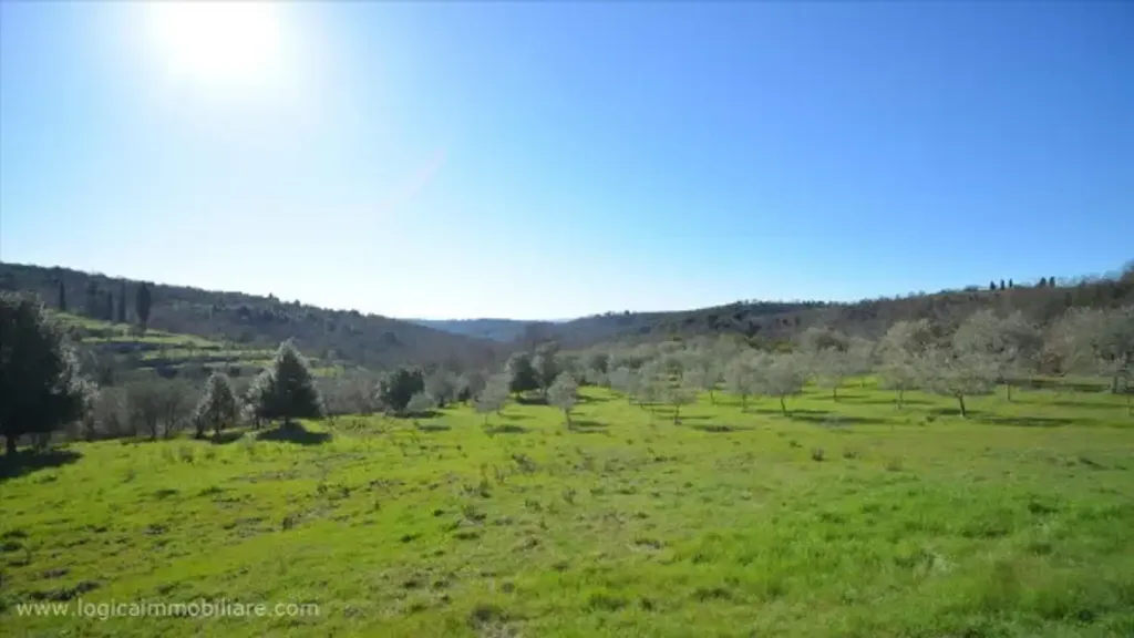 Jardin - Rustic Casale with Olive Grove near Sinalunga