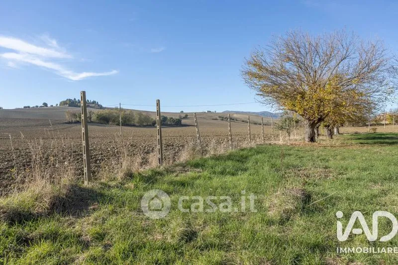 Giardino - Traditional Rustico with Olive Trees in Appignano