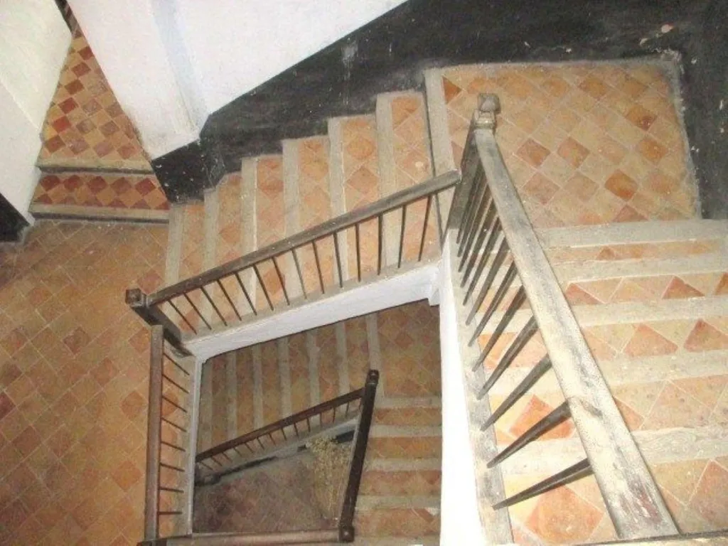 Toad - Historic Town House with Stables in Abizanda-Naval