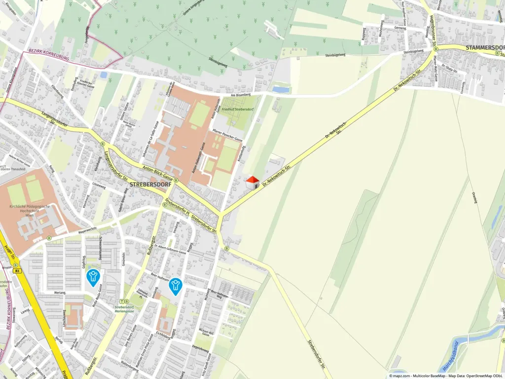 House with Development Potential in 21st District