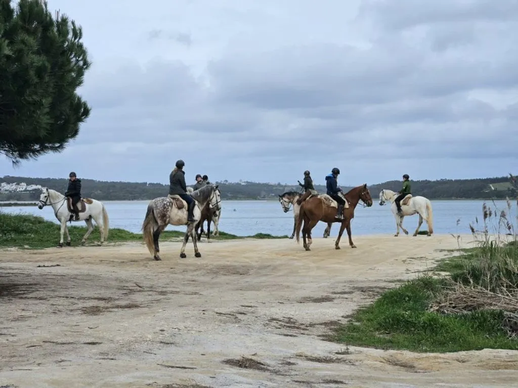 Hotel Development Plot near Obidos Lagoon