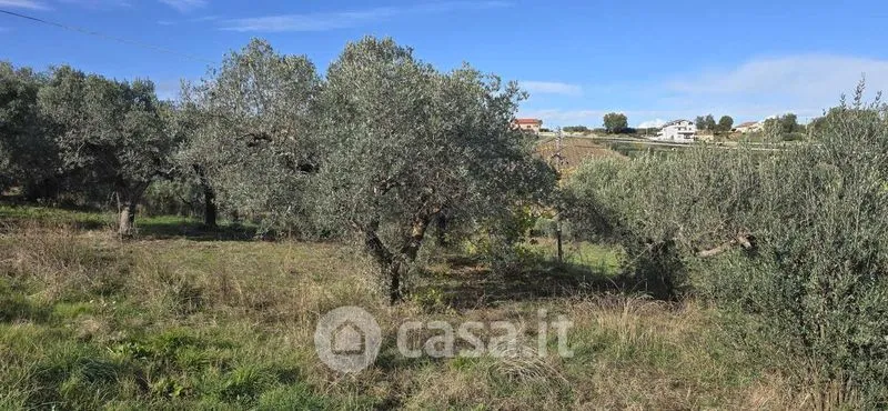 Jardin - Rustic Casale with Panoramic View in Villalfonsina