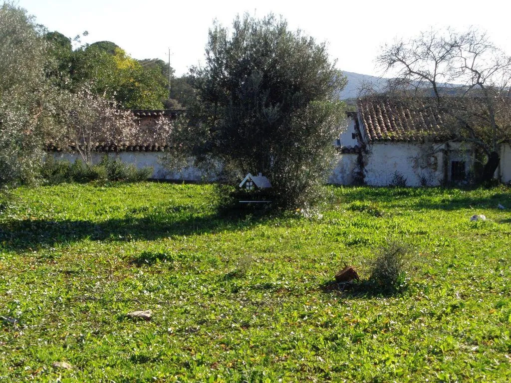 Jardin - Luxury House with Garden in Loulé