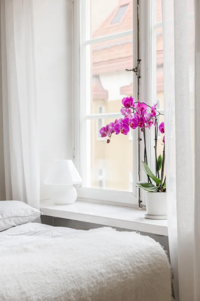 Magamistoad - Twin-Unit Flat with City Views in Vasastan