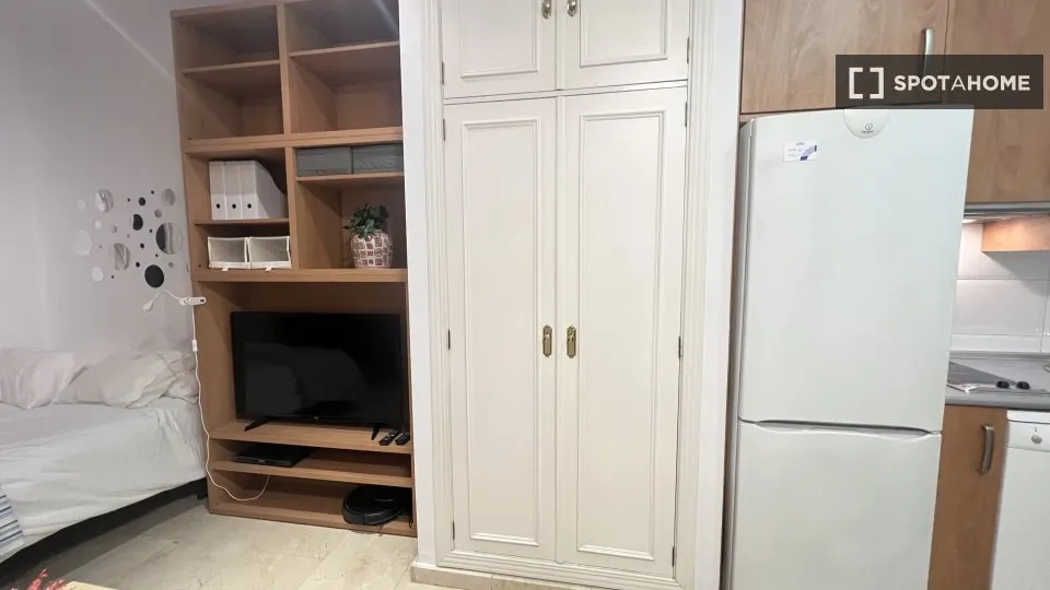 Magamistoad - Furnished Studio in Universidad, Madrid