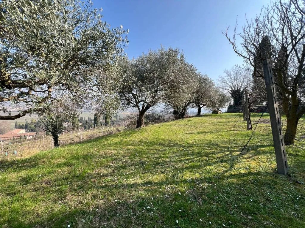 Jardin - Rustic House with Panoramic Views in San Pietro in Cariano
