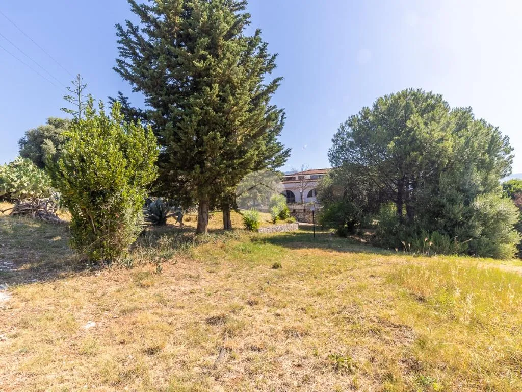 Jardin - Versatile Villa with Olive Grove in Guidonia Montecelio