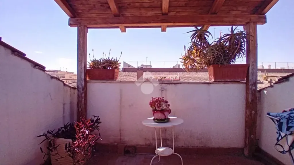 terrace_patio