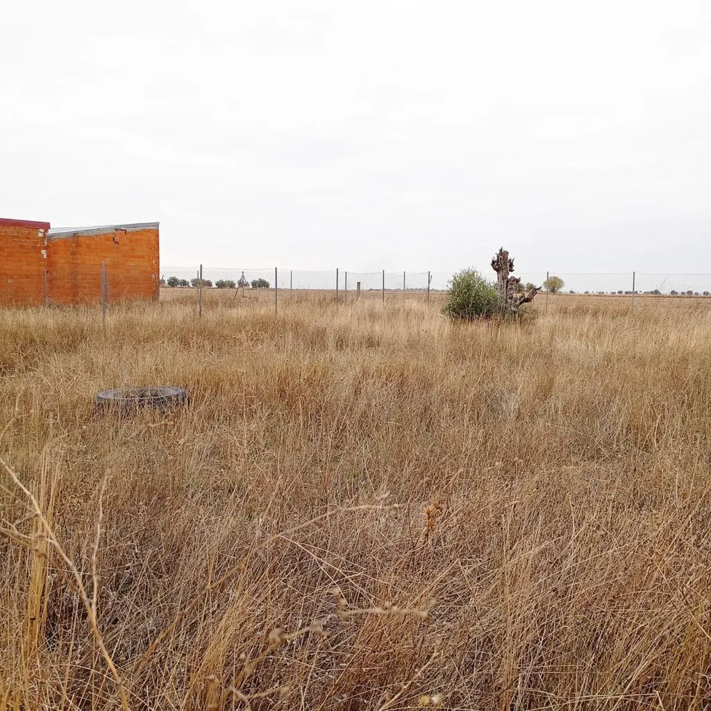 Jardin - Rustic Plot in Tranquil Yepes, Toledo