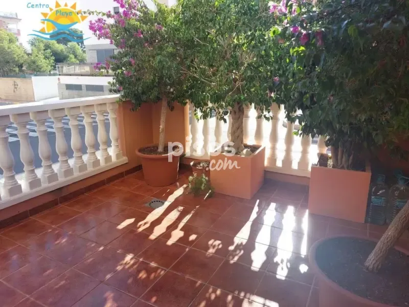 Terrass - Apartment with Sea View in Moncofa