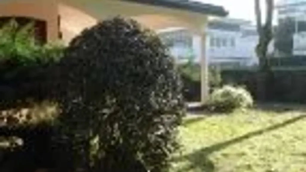 Jardin - Villa with Private Garden in Central Milano Marittima