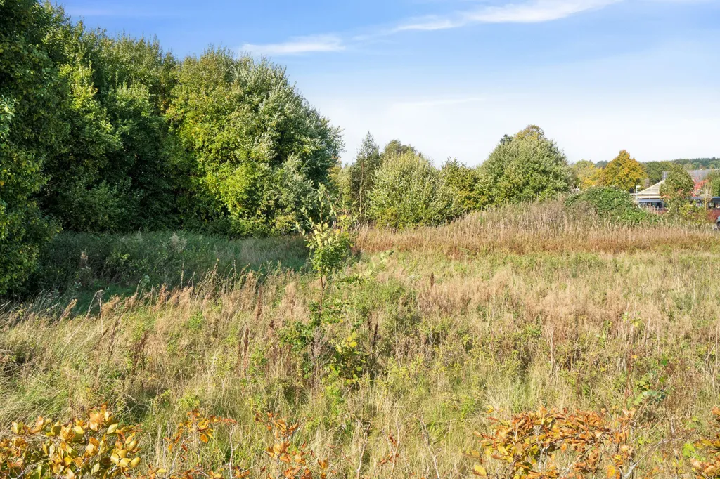 Terrain à Hammel