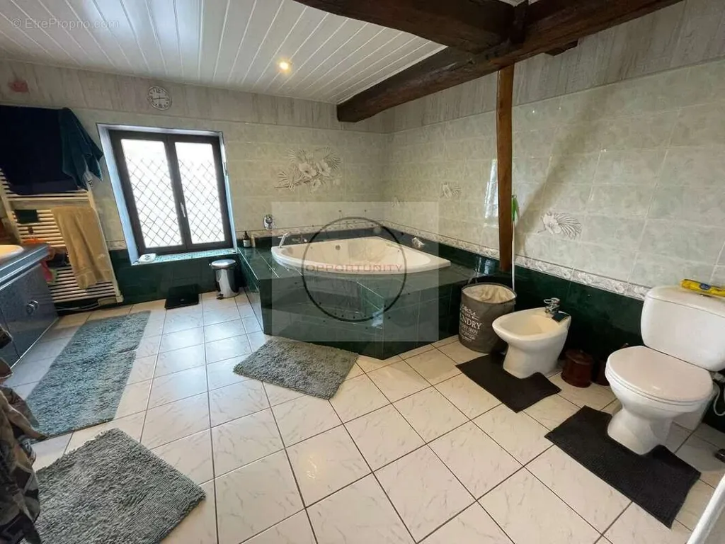 Vannitoad - Villa with Pool in Rebais