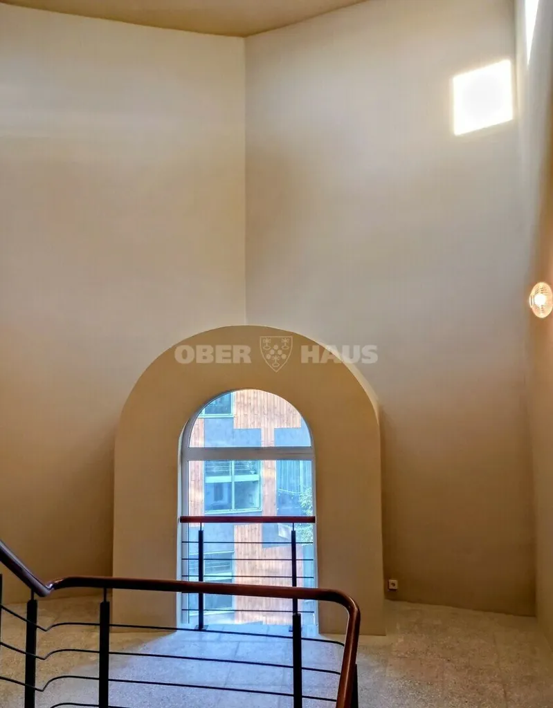 Toad - 3-Bedroom Apartment with High Ceilings in Druskininkai