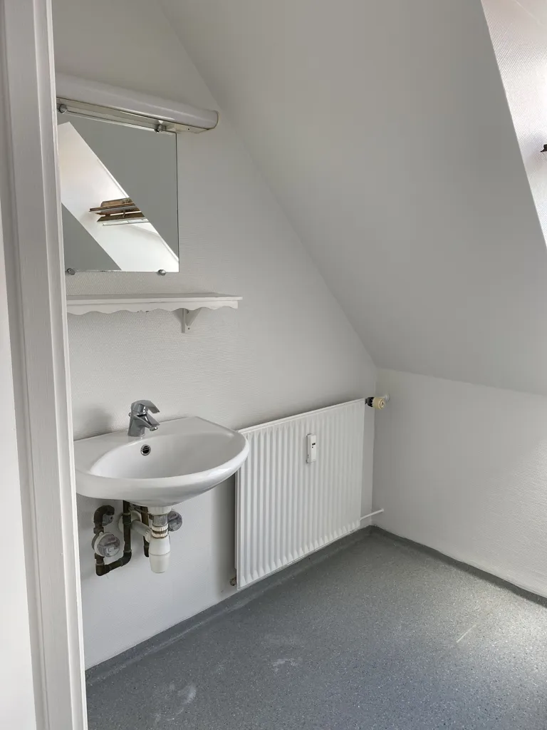 Bathrooms - Refurbished Apartment with Harbour View in Strandgade
