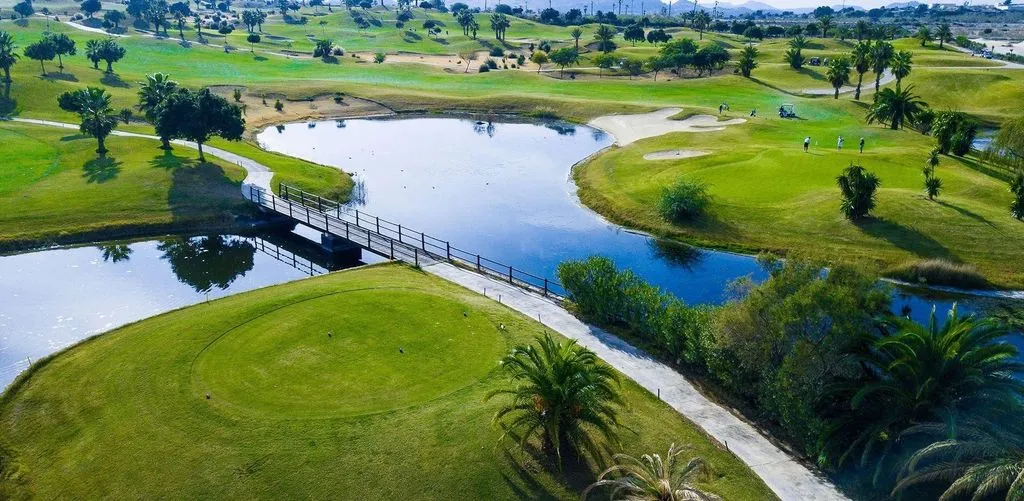 Garden - Luxury Villa with Pool in Orihuela