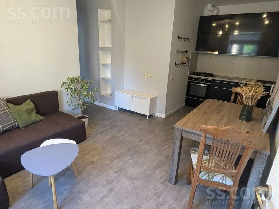 Séjour - Renovated Apartment with Garden in Riga Centre
