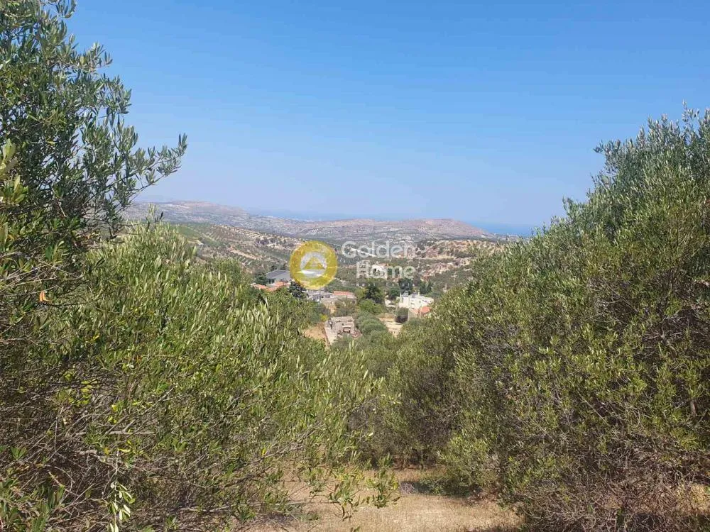 Aed - Plot with Sea View in Stamnoi