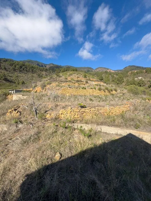 Aed - Rustic Property with Restoration Potential in Arafo