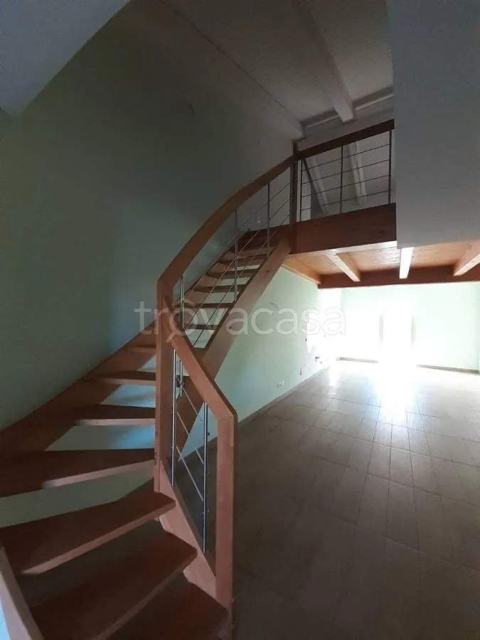 Toad - Prestigious Apartment with Terrazzo in Cherasco