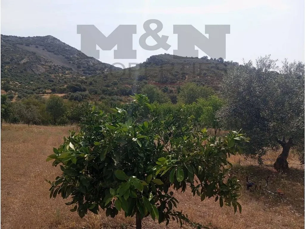 Aed - Rural Cortijo with Pool near Alange