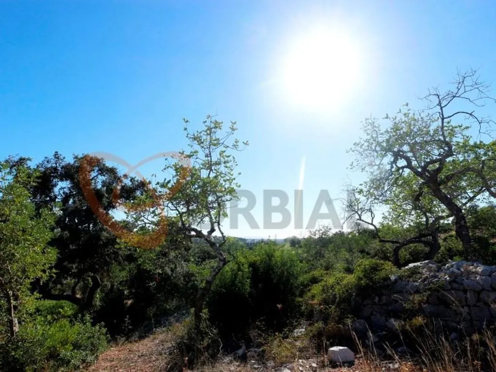 Aed - Development Land for Rural Hotel in Loulé