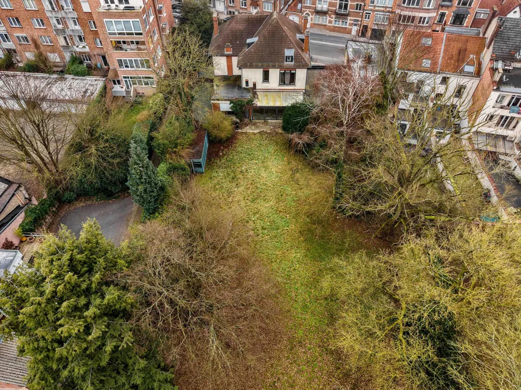 garden