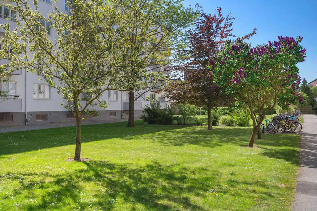 Aed - Corner Flat with Abundant Light in Lund