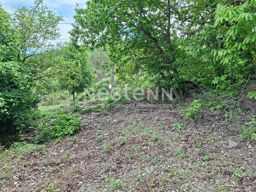 Garden - Flat Plot with Valley View in Quiet Area