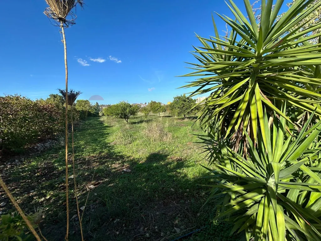 Jardin - Agricultural Land near Priolo Gargallo