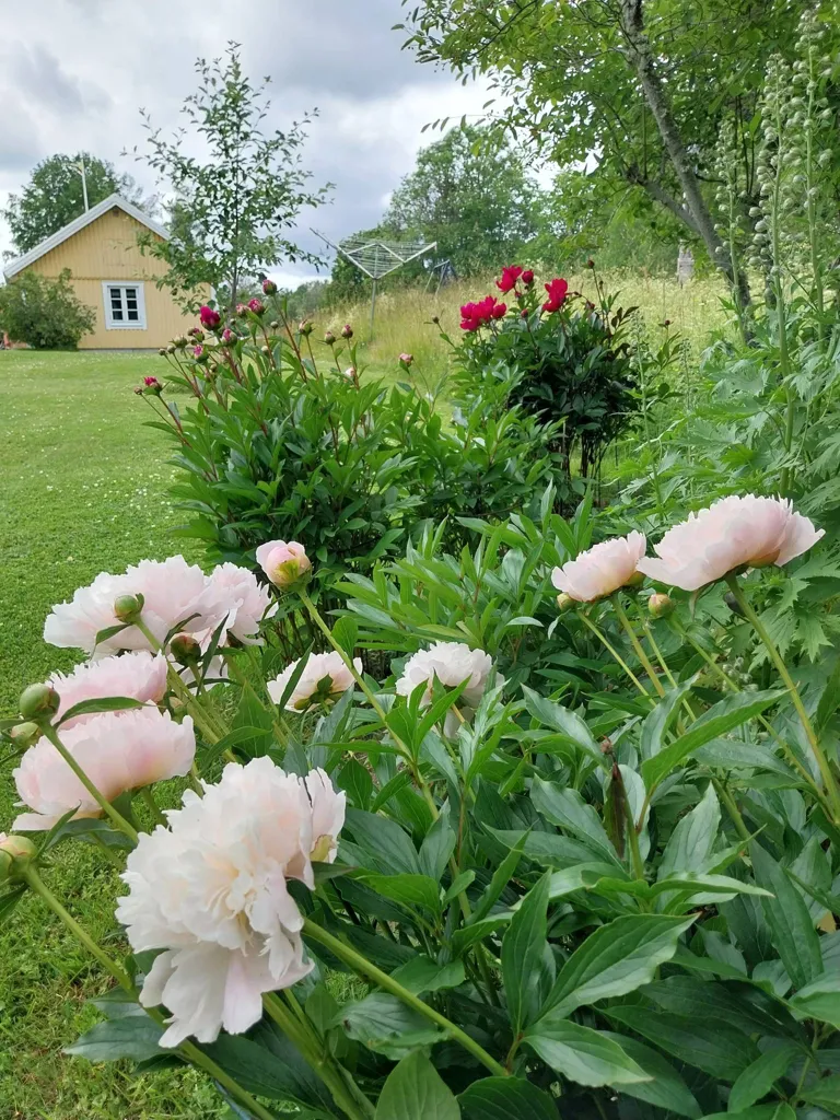 11-toaline maja asukohas Ulricehamns kommun