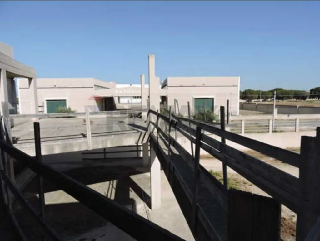 Toad - Industrial Warehouse with Customisation Potential in Mola di Bari