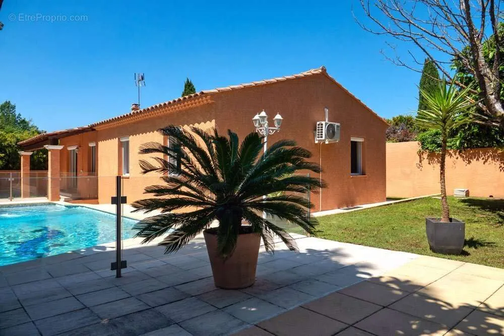 Piscine - Maison avec Piscine et Studio Indépendant