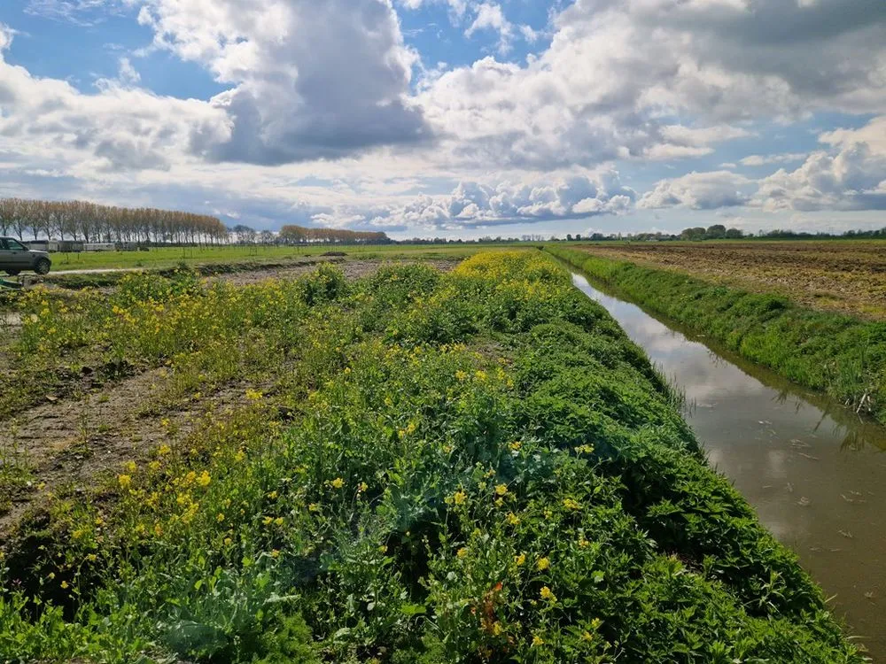 Landscaped Building Plot with Privacy in Woubrugge